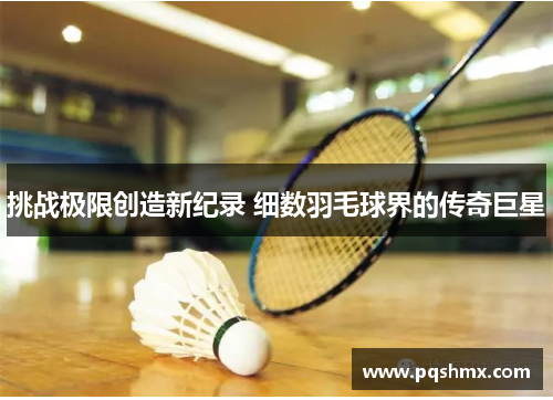 挑战极限创造新纪录 细数羽毛球界的传奇巨星
